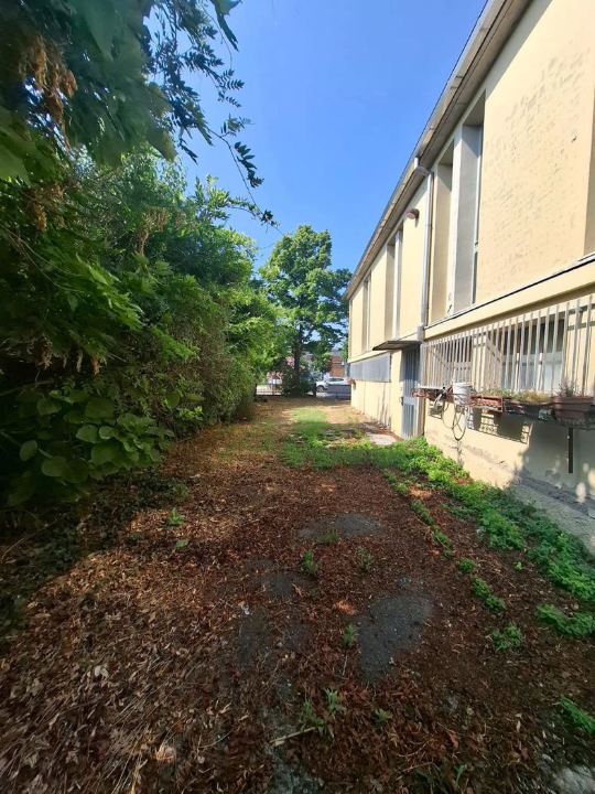 Laboratorio - Image 5