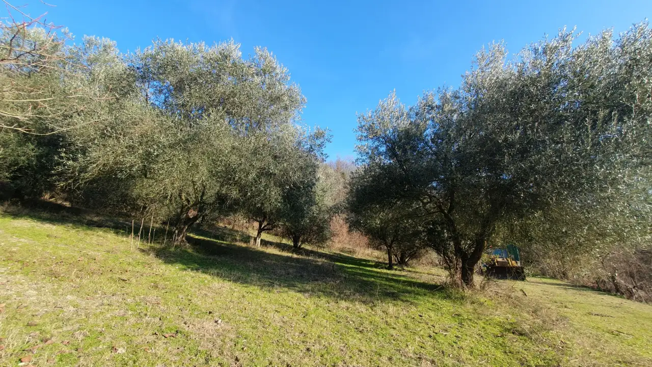 Casa Indipendente - Image 12