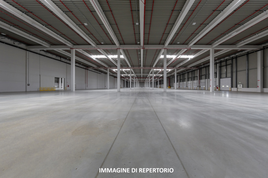 Capannone - Image 7