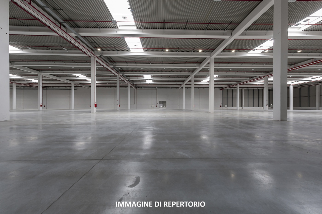 Capannone - Image 4