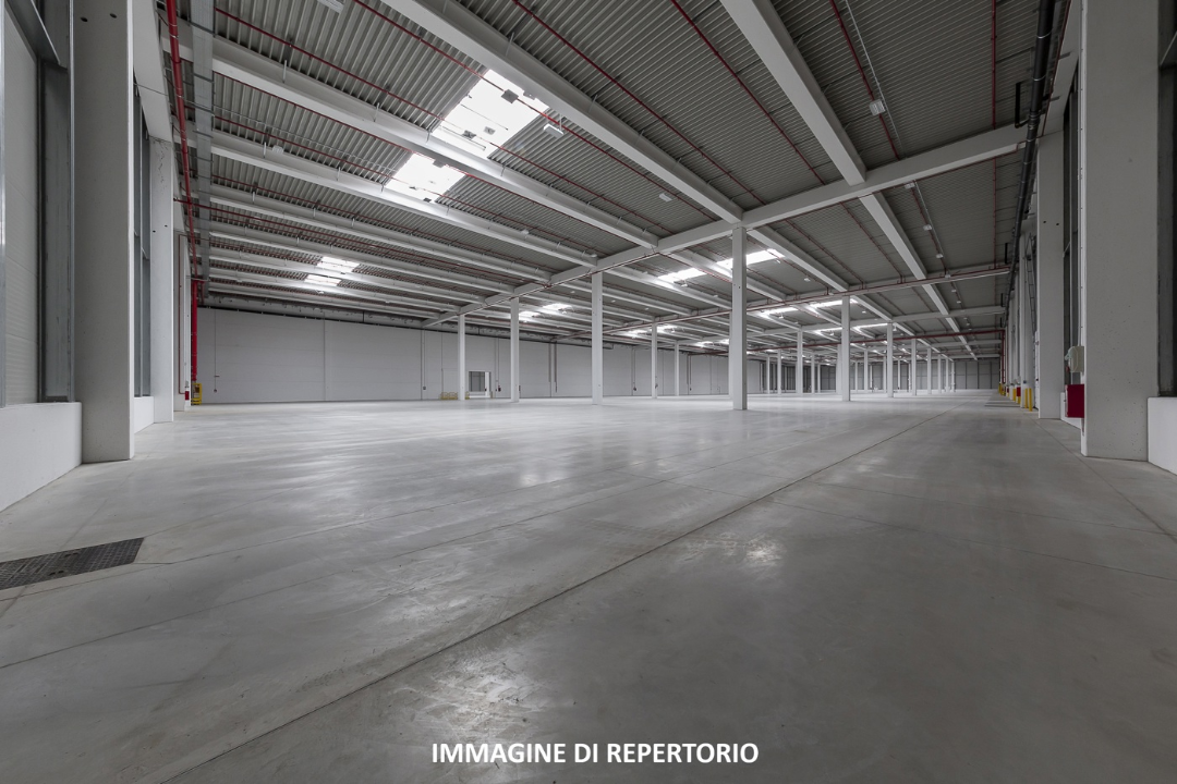Capannone - Image 8