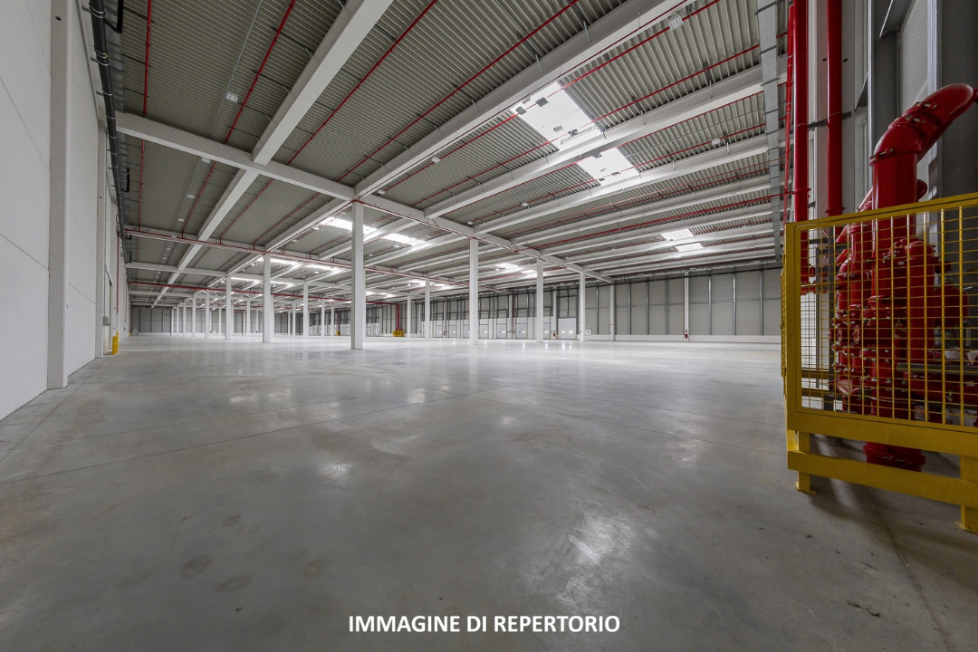 Capannone - Image 6