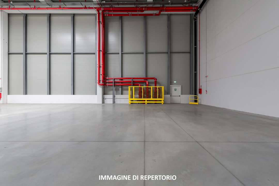 Capannone - Image 5