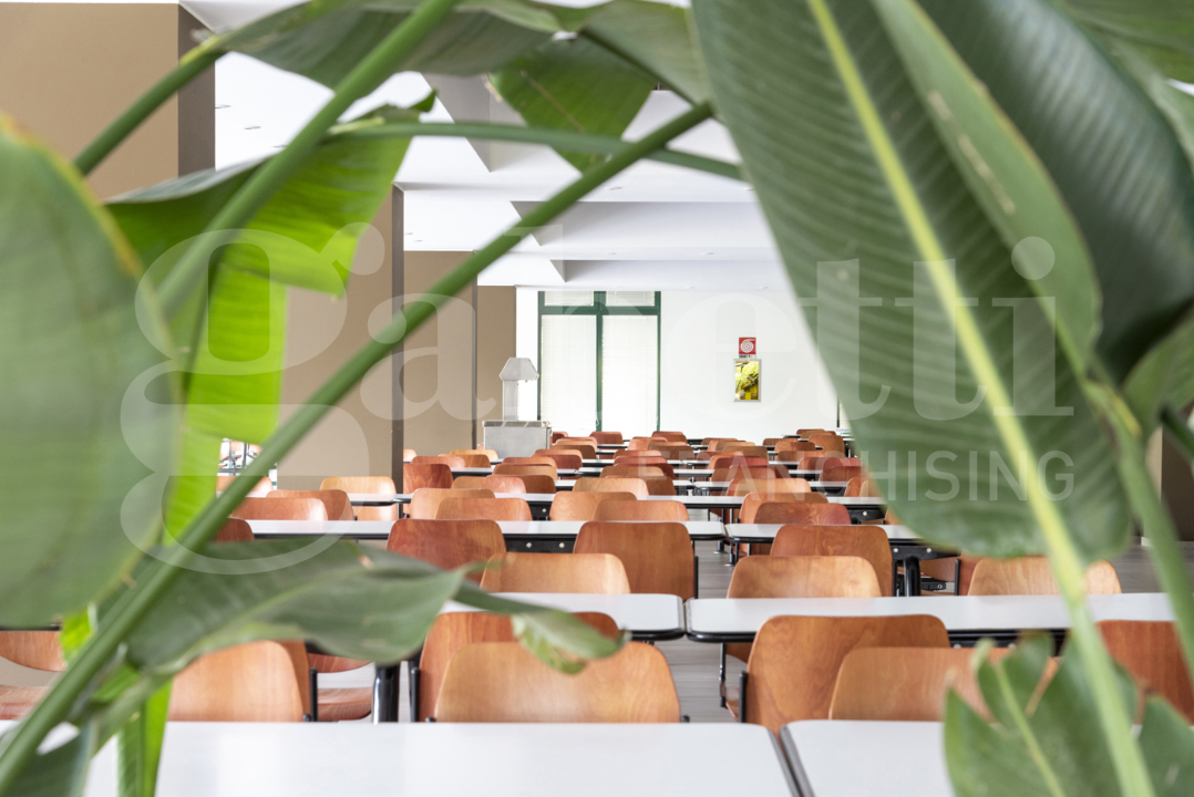 Ufficio - Image 18