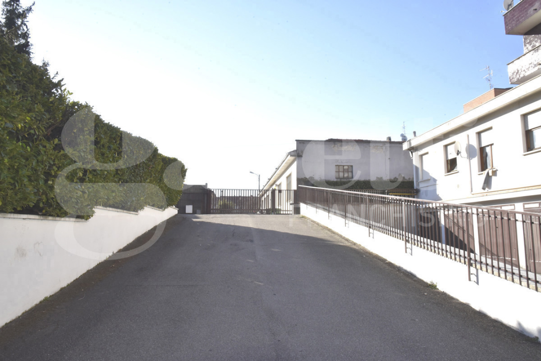 Magazzino - Image 6
