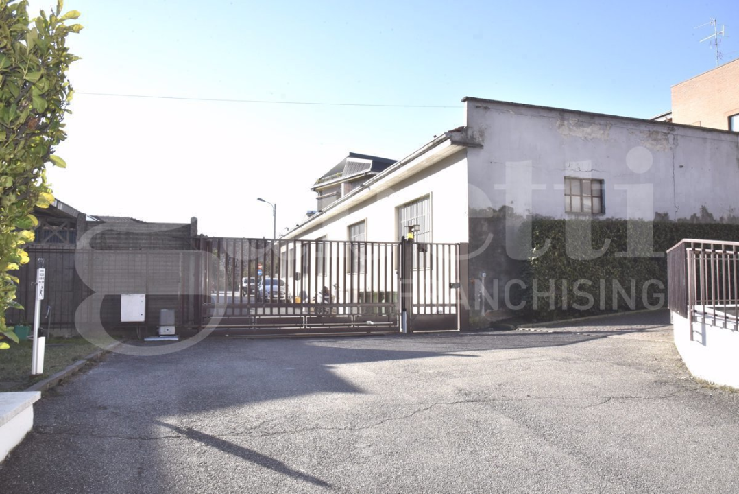 Magazzino - Image 2