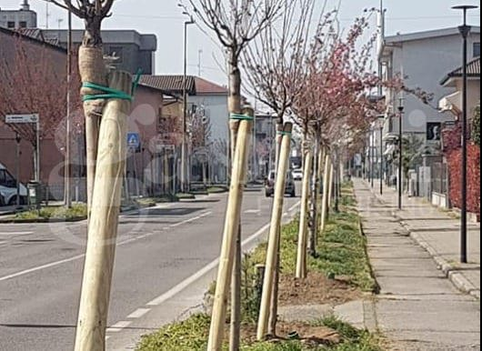 Appartamento - Image 28