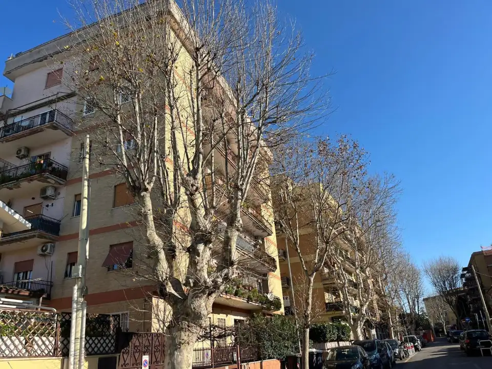 Appartamento - Image 3