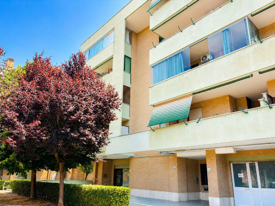 Negozio - Image 3