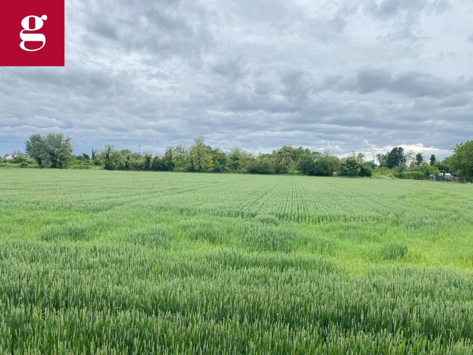 Appartamento - Image 13