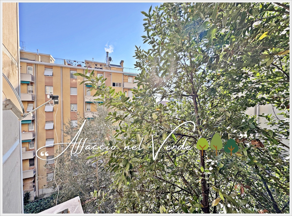 Appartamento - Image 4