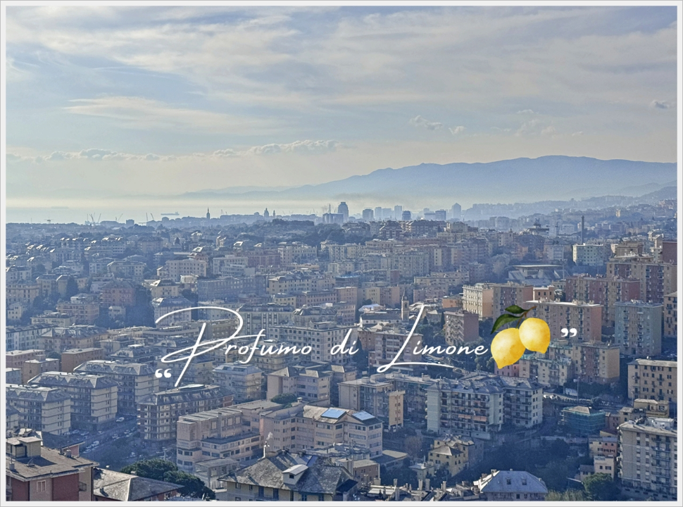 Appartamento - Image 22