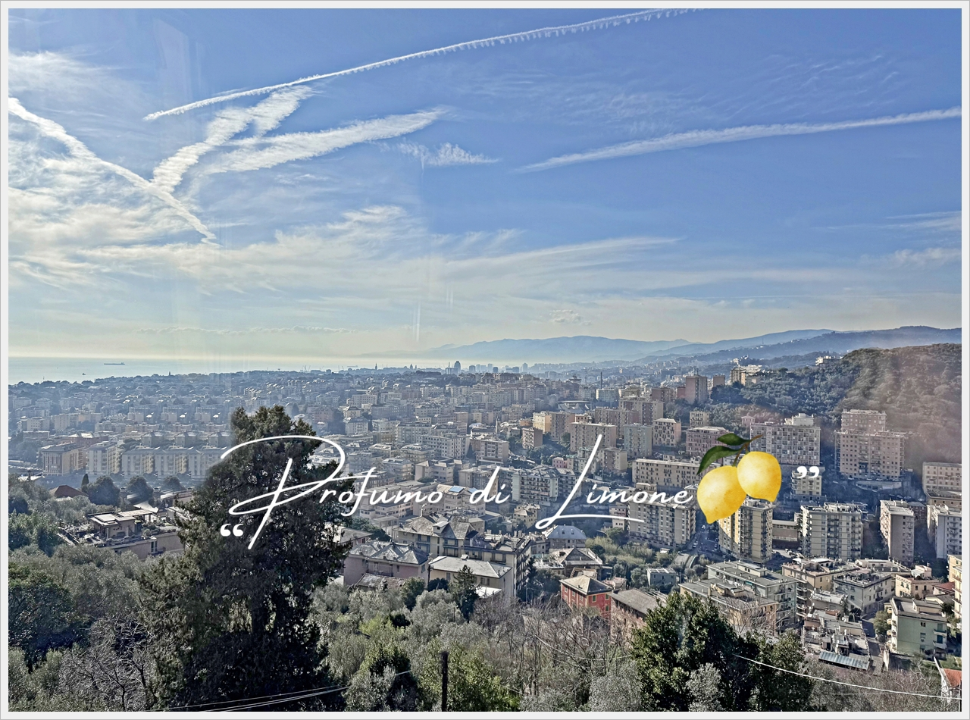 Appartamento - Image 10