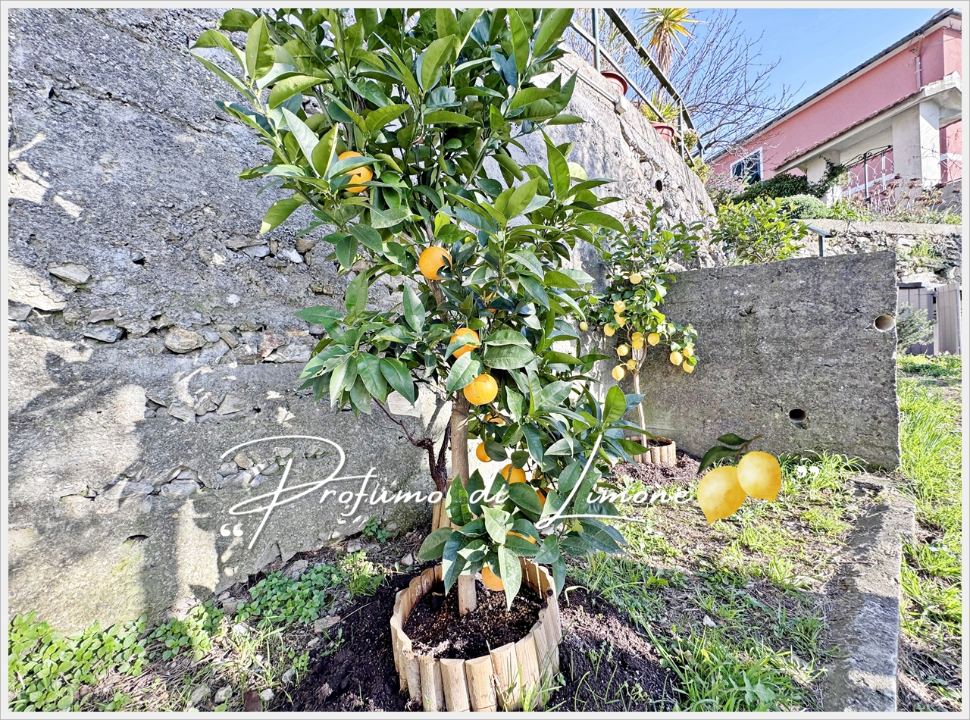 Appartamento - Image 26