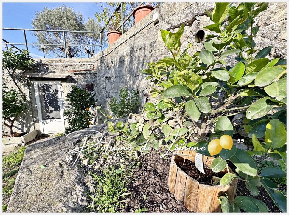 Appartamento - Image 25