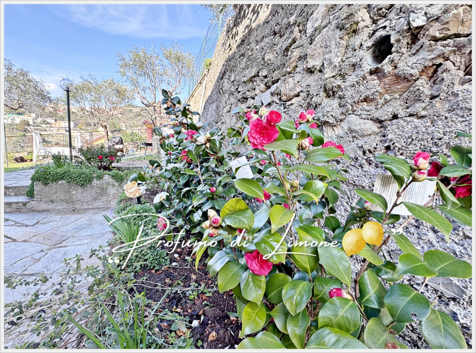 Appartamento - Image 5