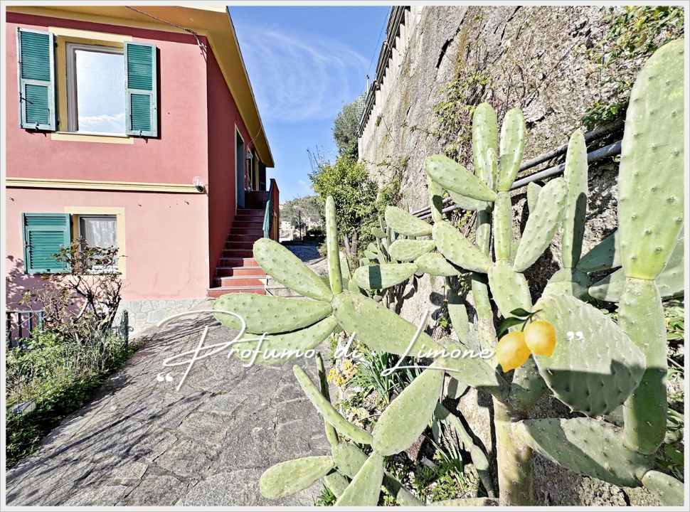 Appartamento - Image 6