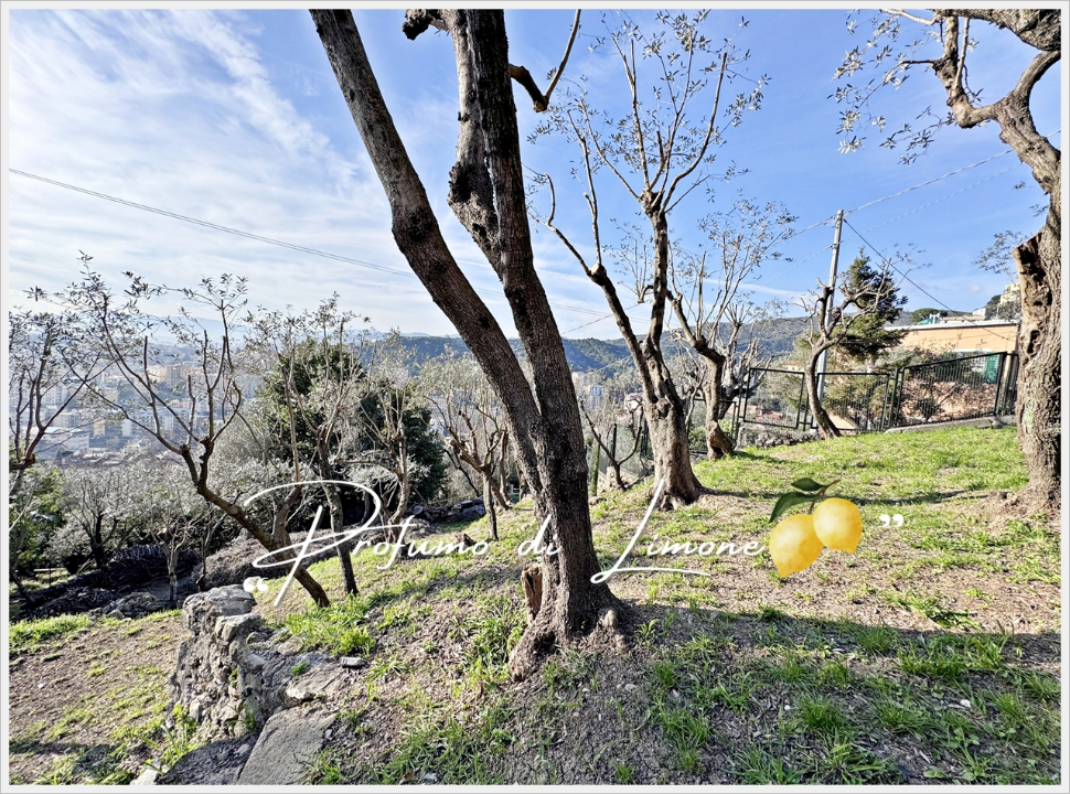 Appartamento - Image 27