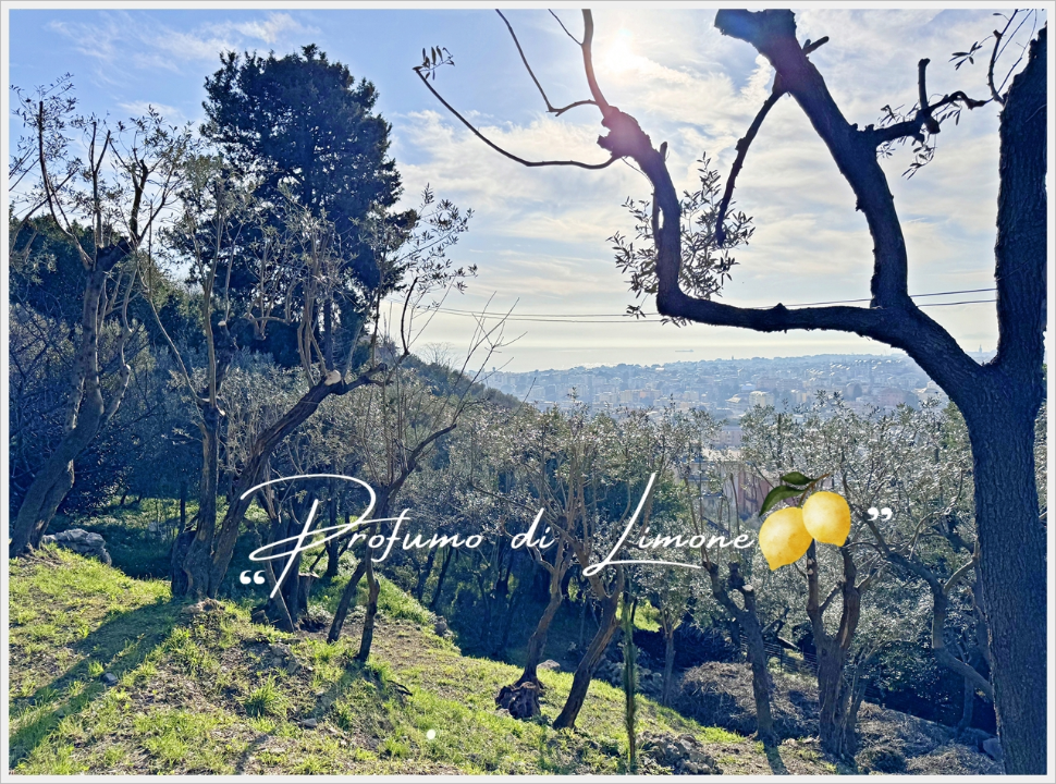 Appartamento - Image 28