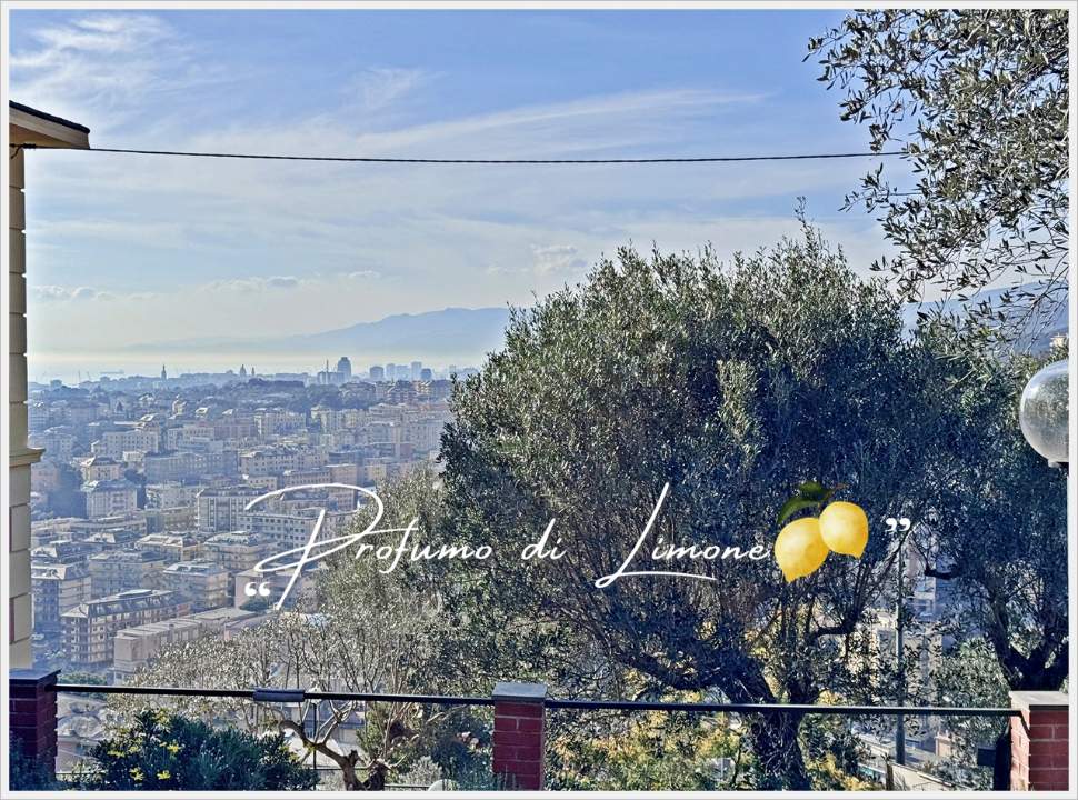 Appartamento - Image 4