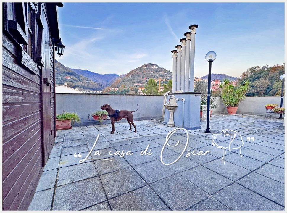 Appartamento - Image 14