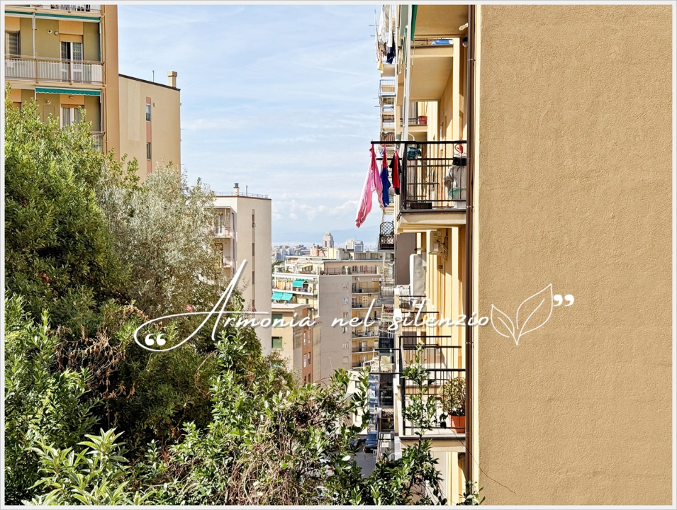 Appartamento - Image 2