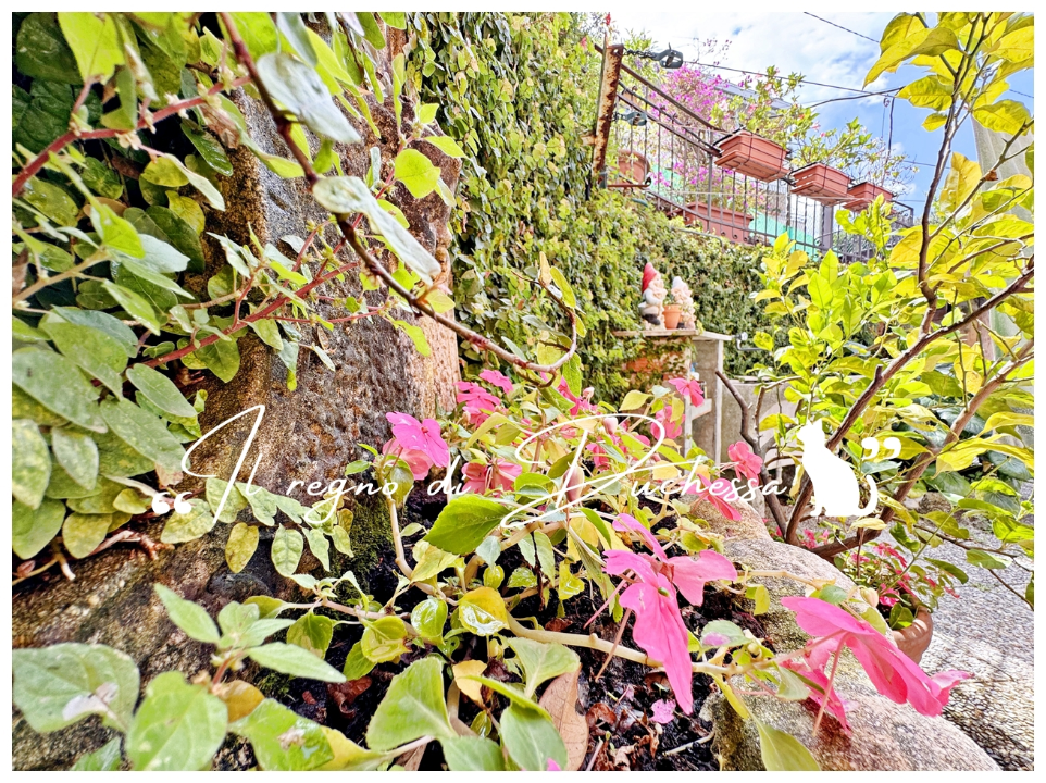 Appartamento - Image 27