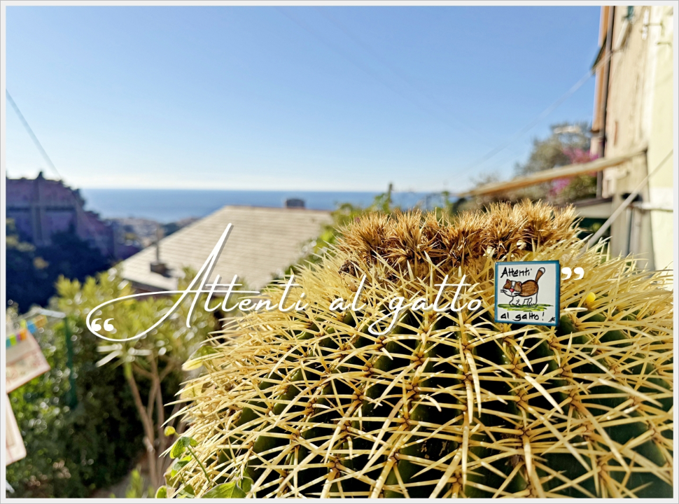 Appartamento - Image 5