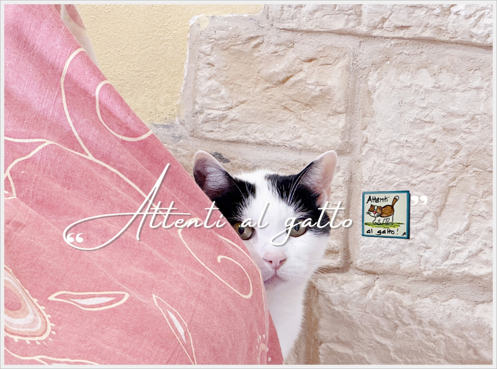 Appartamento - Image 28