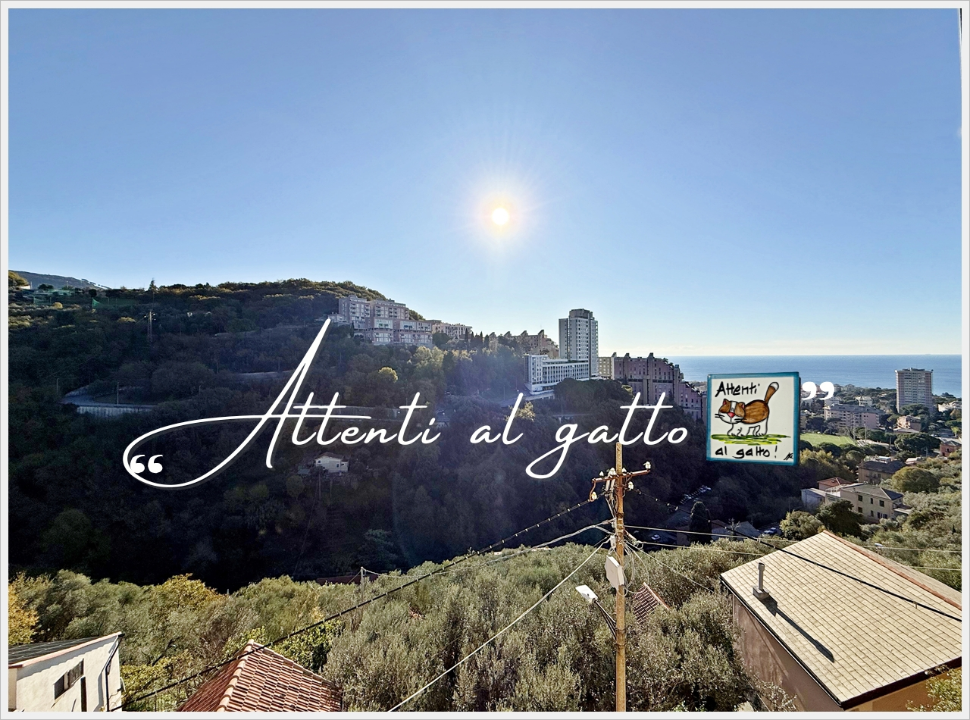 Appartamento - Image 25