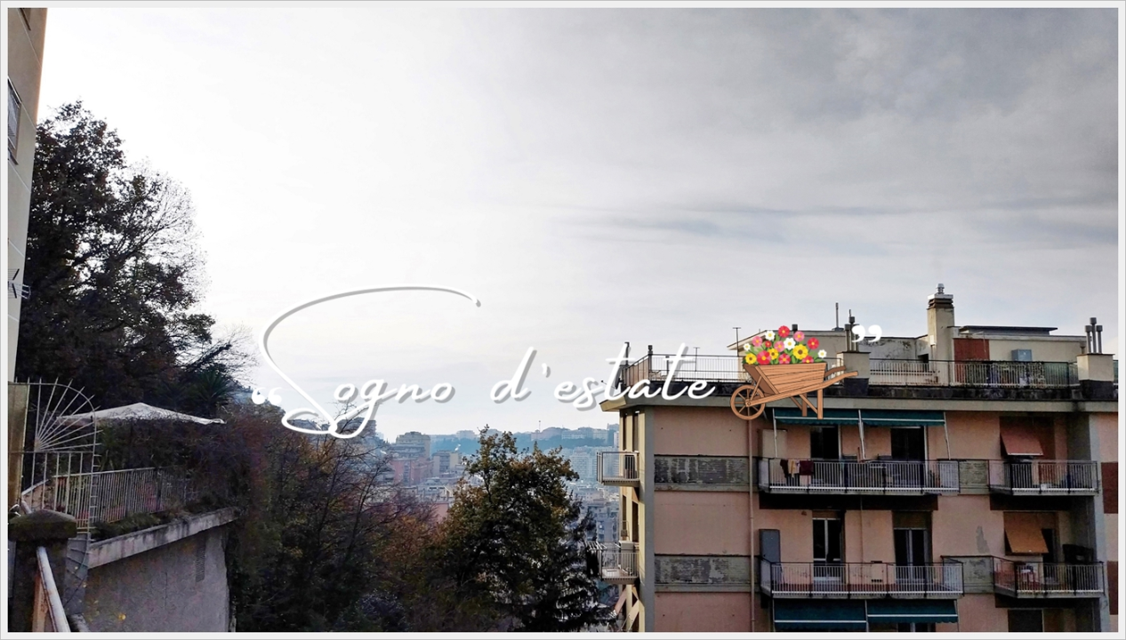 Appartamento - Image 24