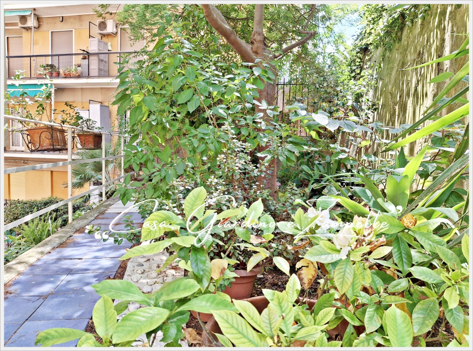 Appartamento - Image 4