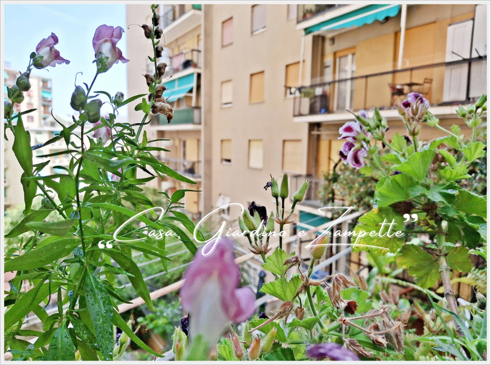 Appartamento - Image 8