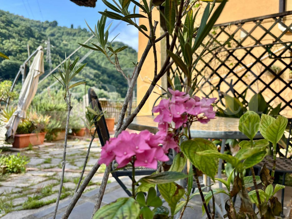 Appartamento - Image 42