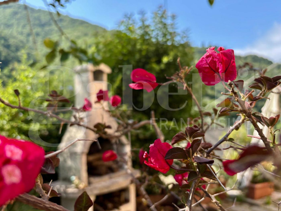 Appartamento - Image 1