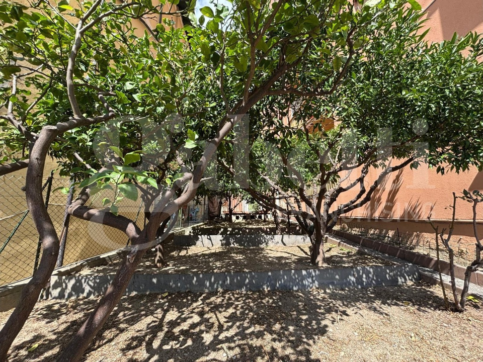 Appartamento - Image 17