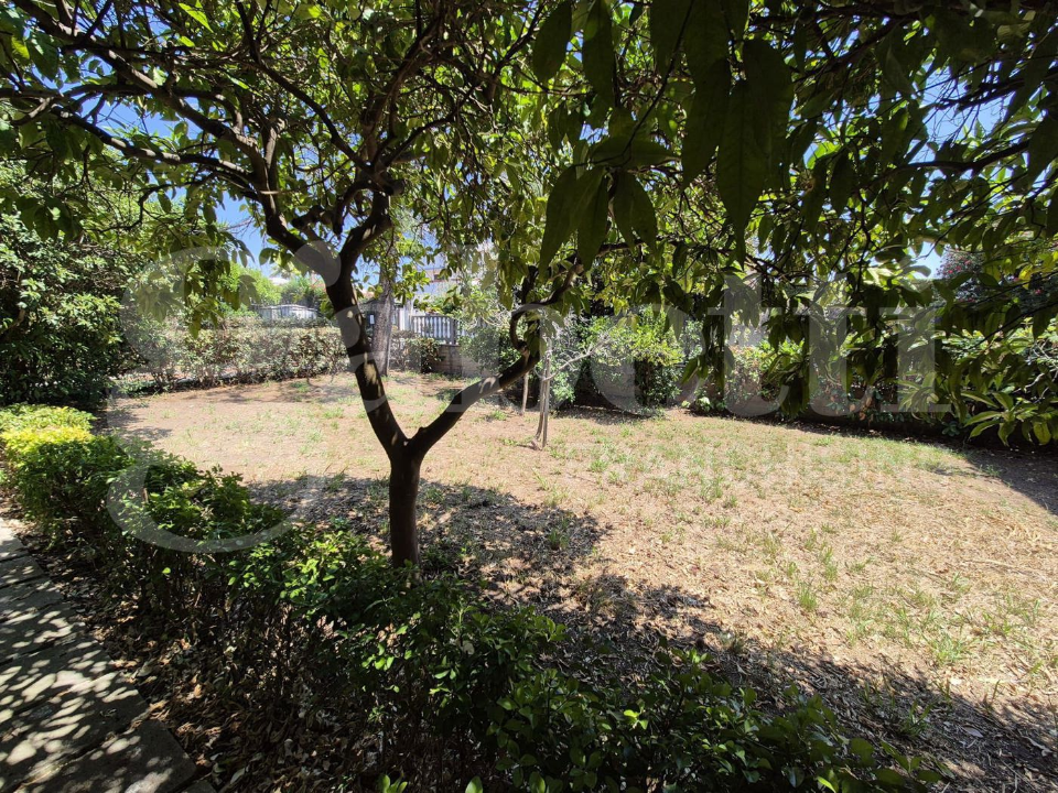 Palazzina - Image 8