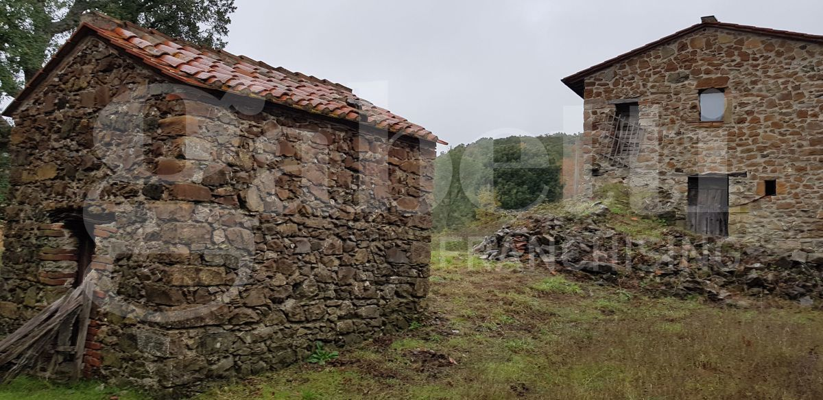 Casa Indipendente - Image 3