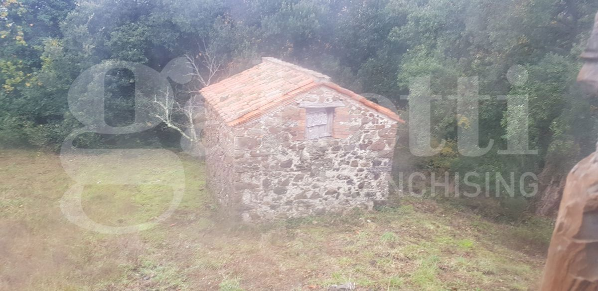 Casa Indipendente - Image 5