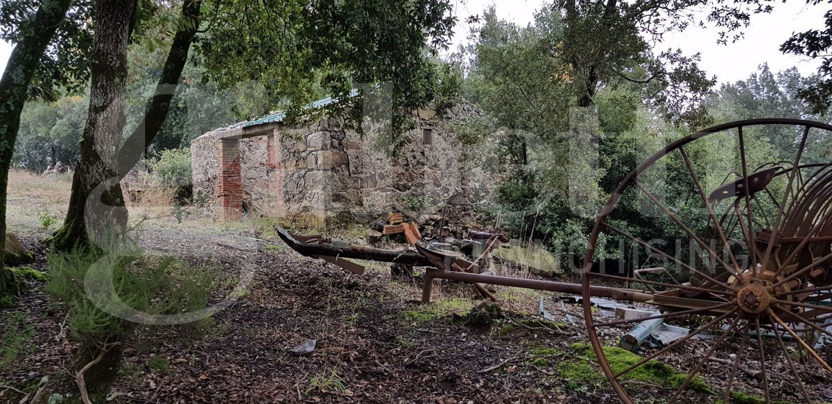 Casa Indipendente - Image 4