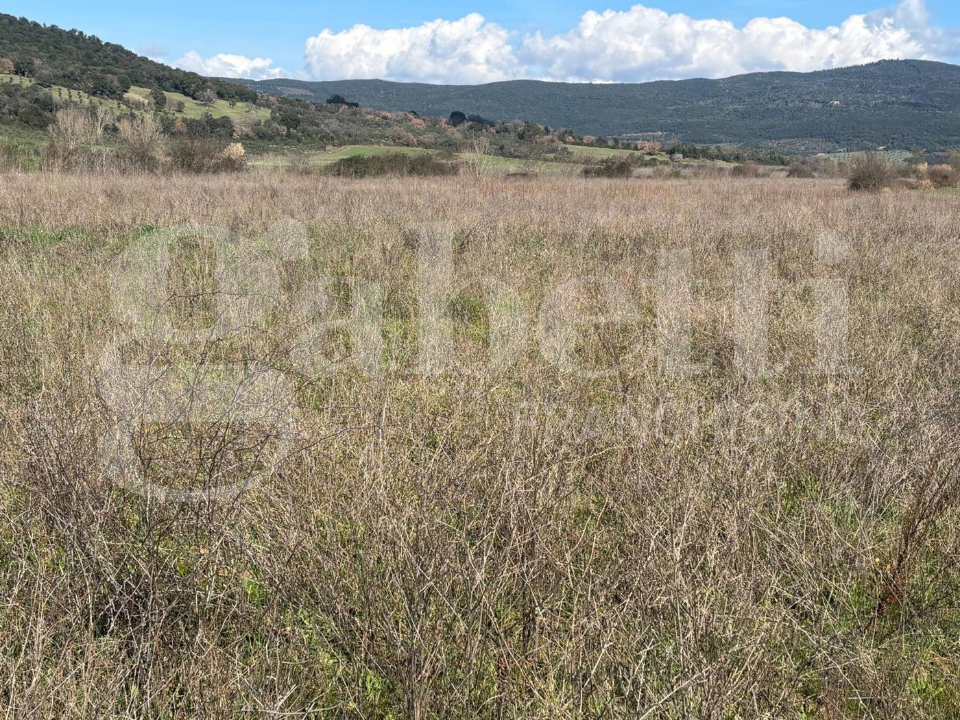 Terreno - Image 1