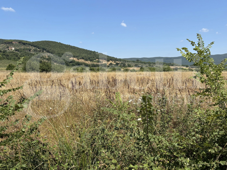 Terreno - Image 2