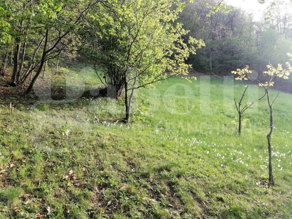 Appartamento - Image 4