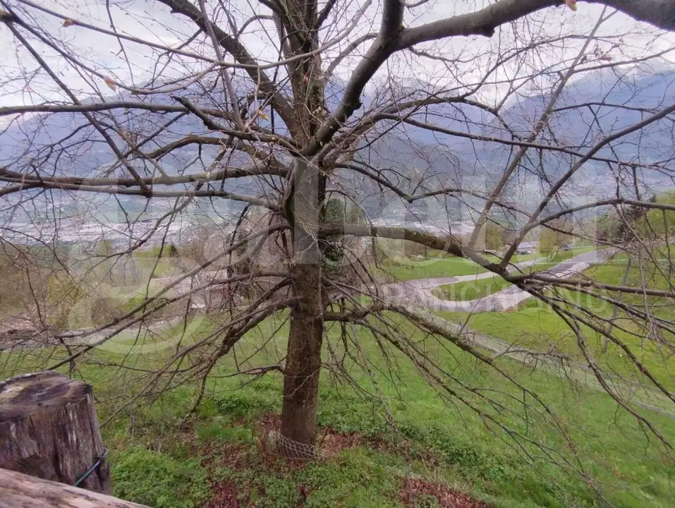 Casa Indipendente - Image 8