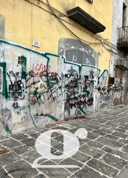 Laboratorio - Image 10