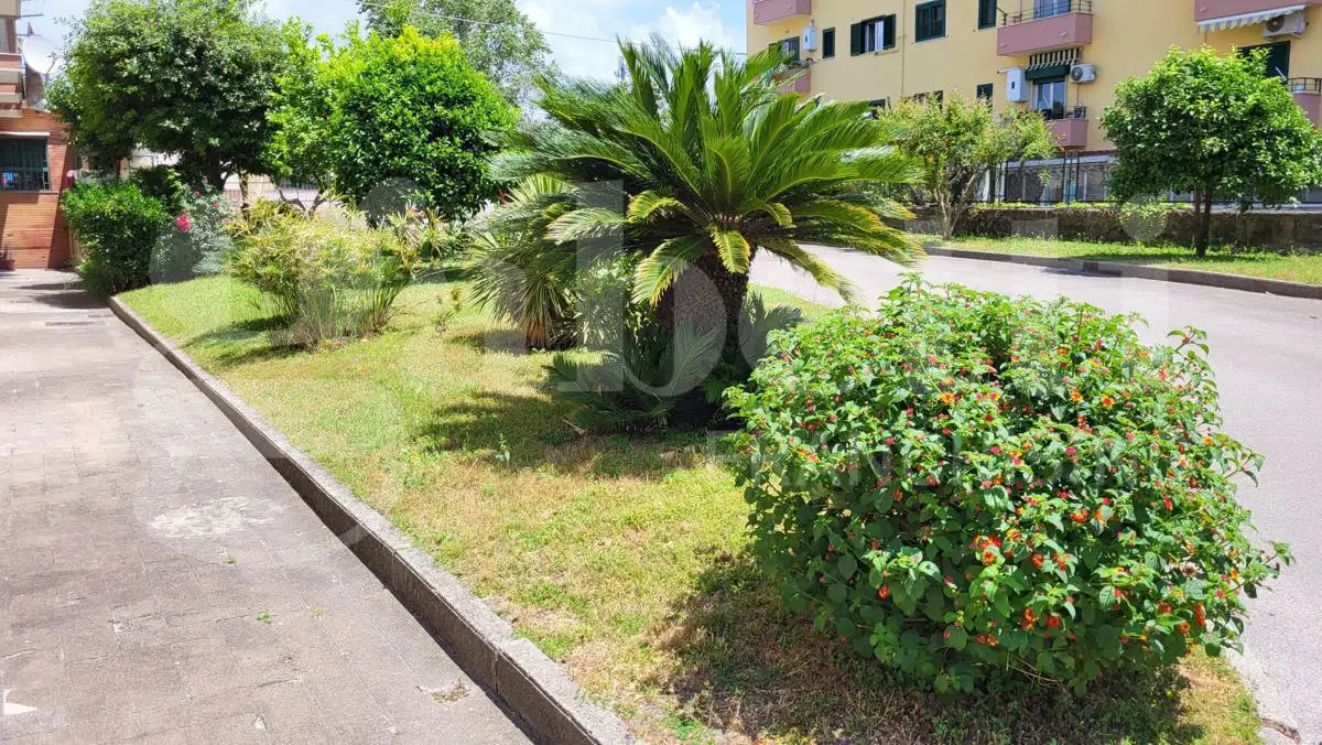 Appartamento - Image 3