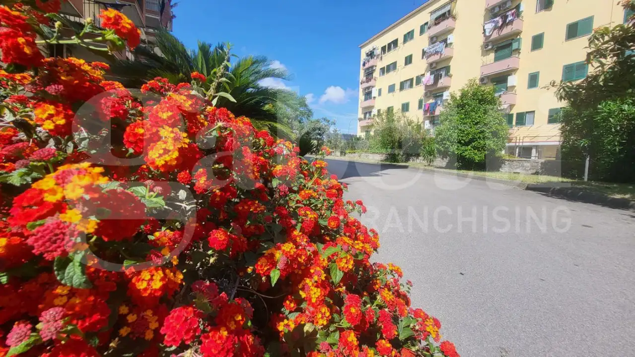 Appartamento - Image 1