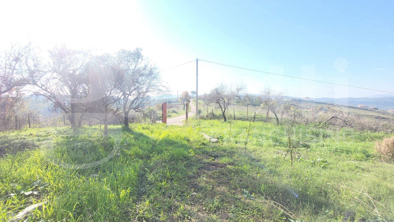 Palazzina - Image 27