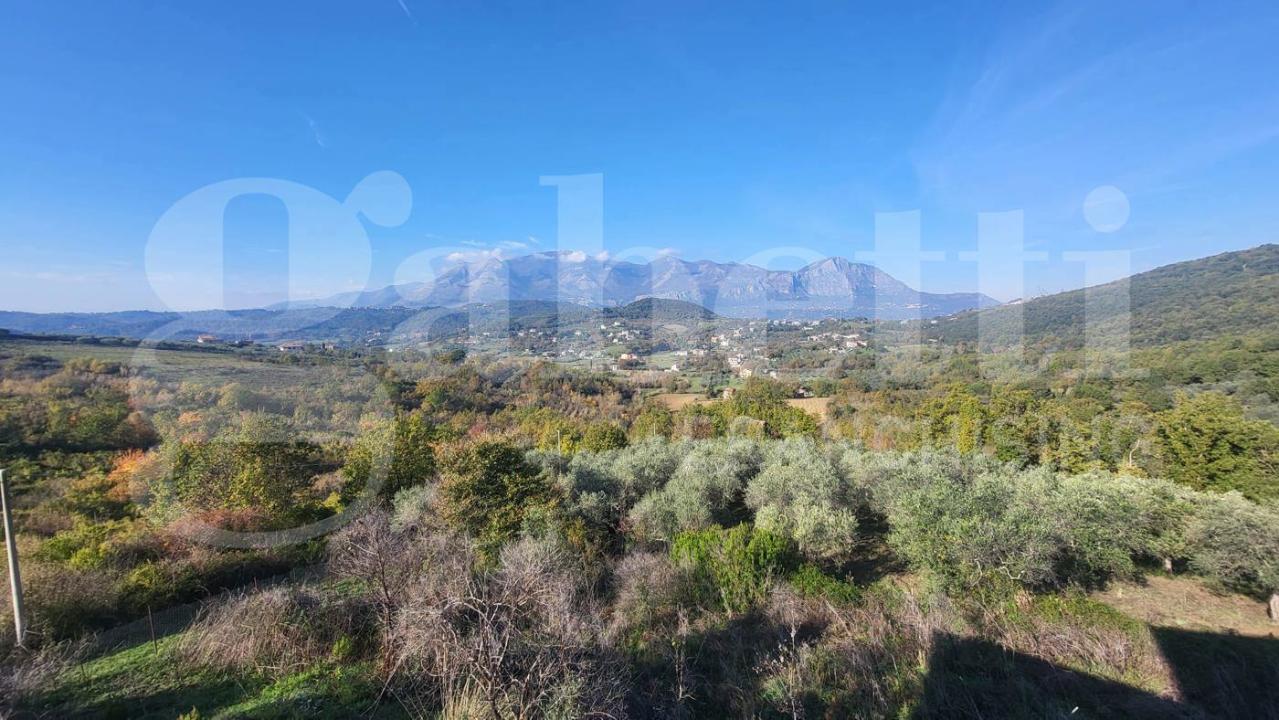 Palazzina - Image 11