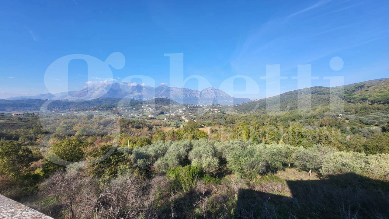 Palazzina - Image 10